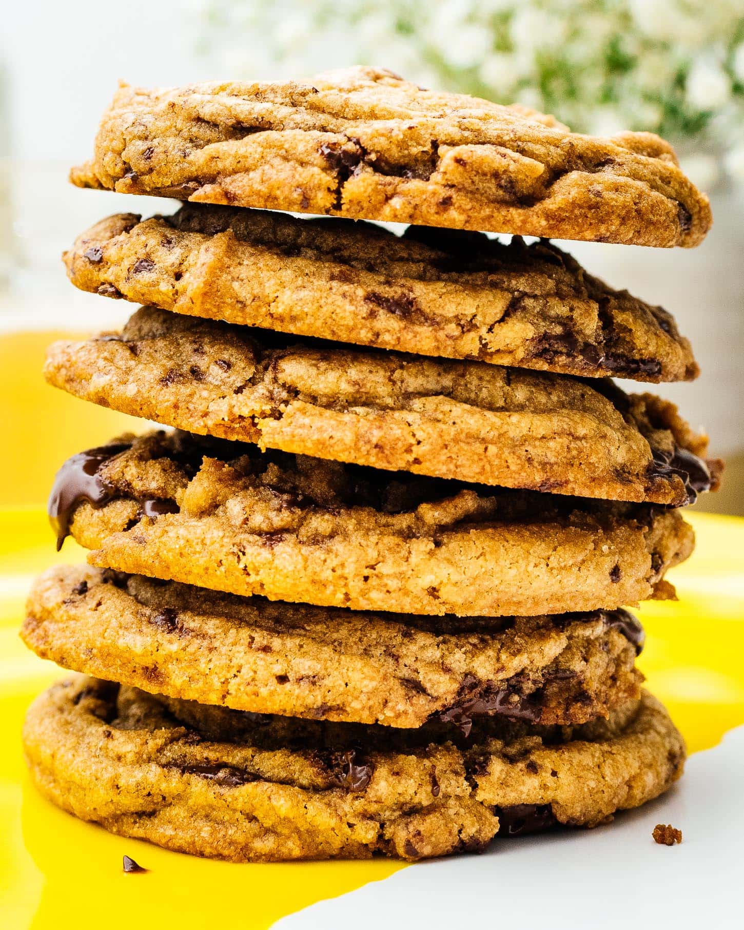 the best chocolate chip cookies | foodiesanddrink.com