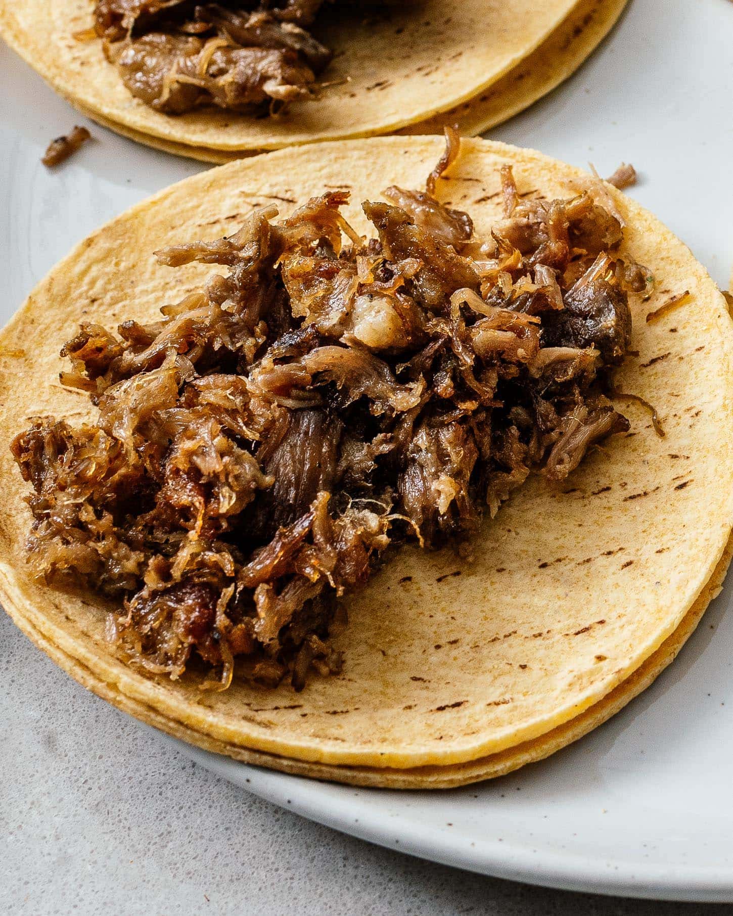 carnitas | foodiesanddrink.com