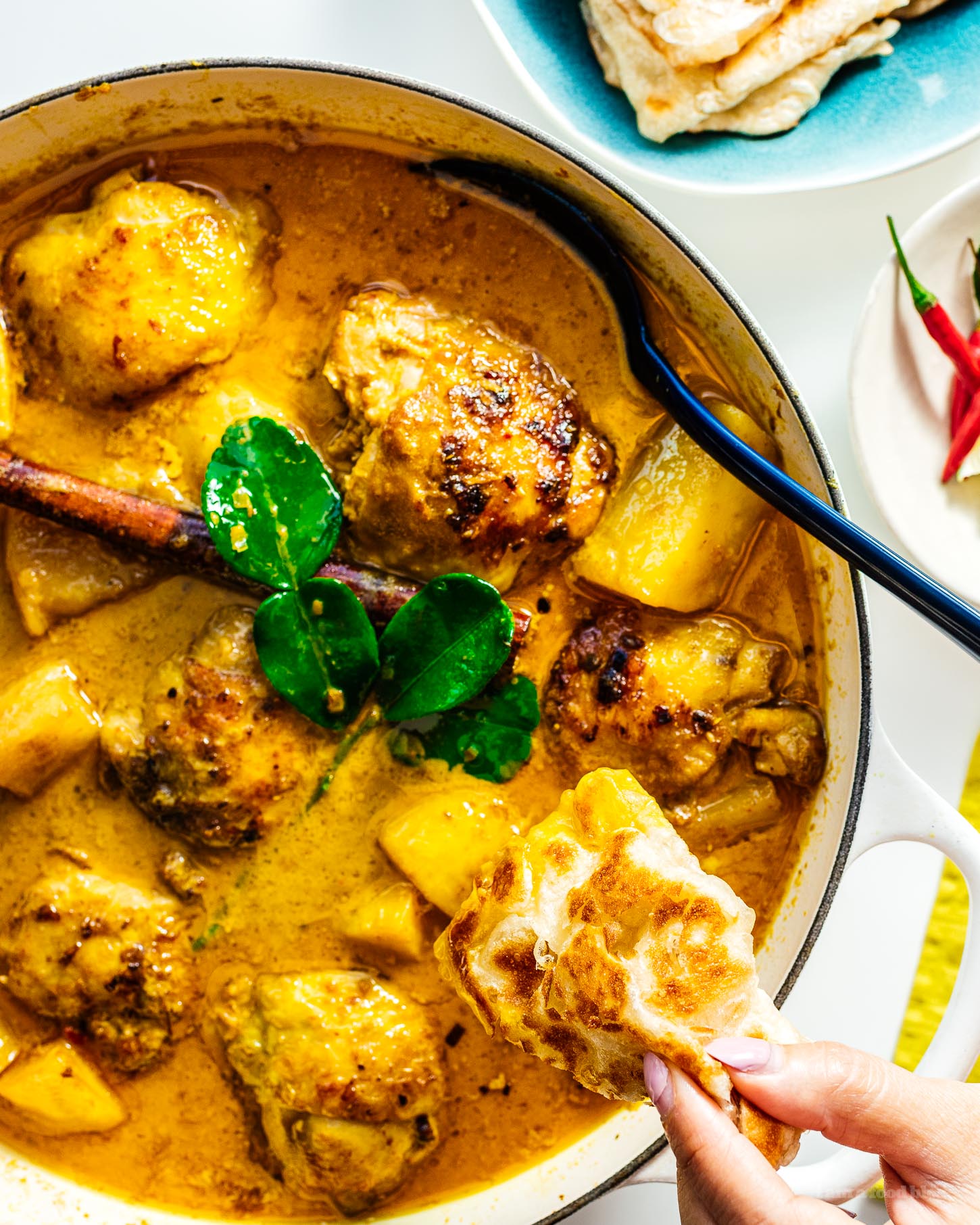 chicken curry with roti | foodiesanddrink.com