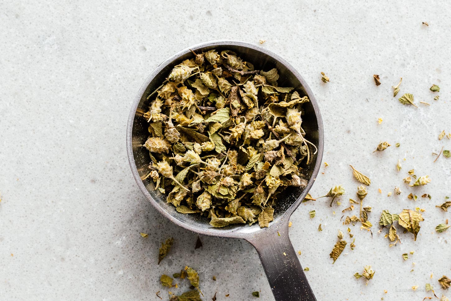 mexican oregano | foodiesanddrink.com