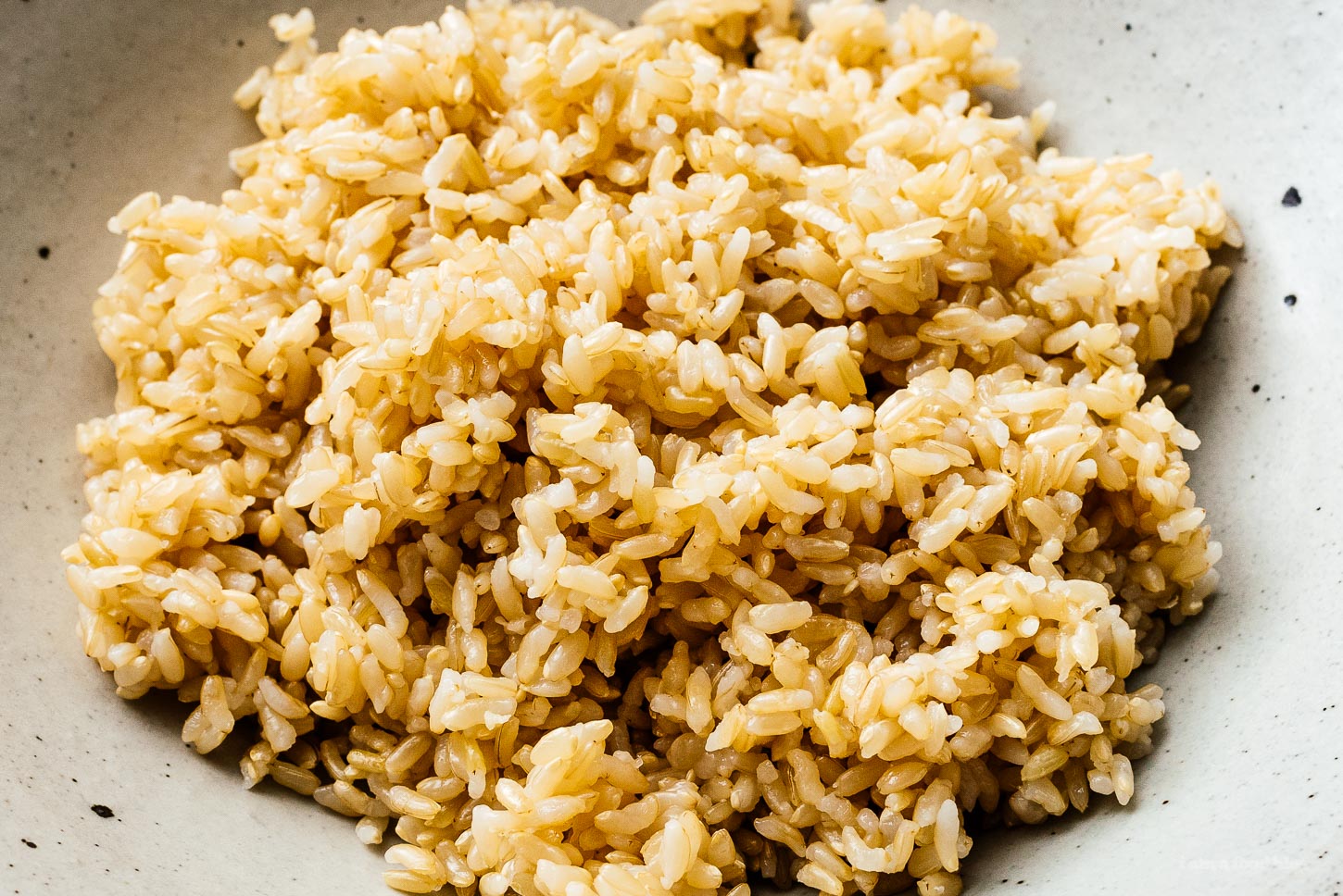 instant pot rice | foodiesanddrink.com